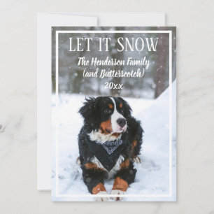 Laat het sneeuwen Hond Foto Kerst Vakantie Kaart