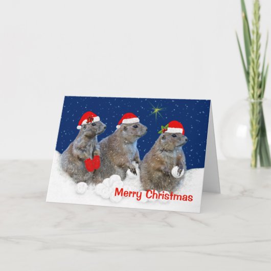 Laat het sneeuwen Kerstkaart Feestdagen Kaart (Voorkant)