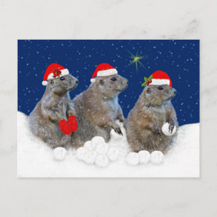 Laat het Sneeuwen Kerstkaart Feestdagenkaart