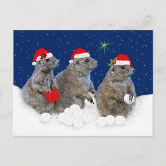 Laat het Sneeuwen Kerstkaart Feestdagenkaart (Voorkant)