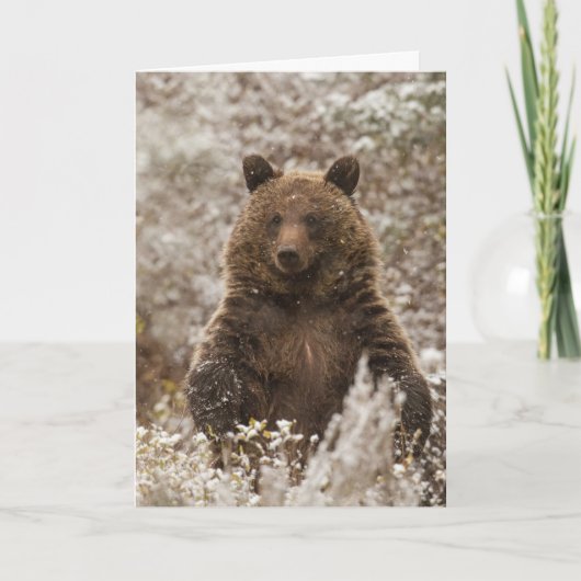 "Laat het sneeuwen" vakantie Kaart (Voorkant)