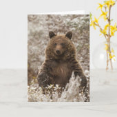 "Laat het sneeuwen" vakantie Kaart (Gele Bloem)