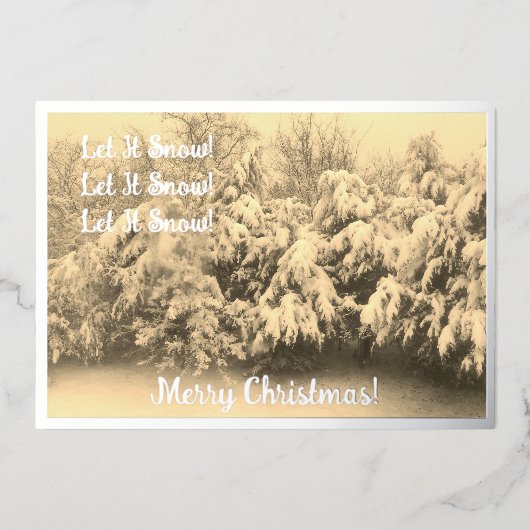 Laat het sneeuwfeest folie feestdagenkaart (Voorkant)