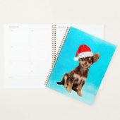 Laat het Sneeuwkerst Chihuahua Dog Wearing Pet Planner (Display)