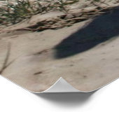 laat het strand raken poster (Hoek)