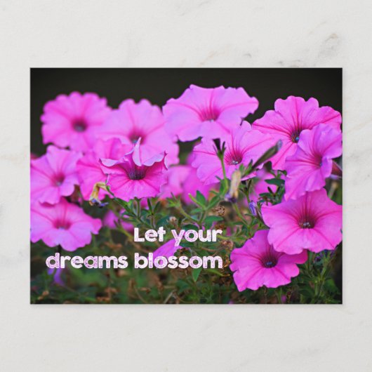 Laat je dromen bloesem bloeien briefkaart (Voorkant)