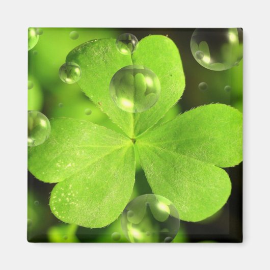 Laat je geluk niet wegspoelen magneet (Voorkant)