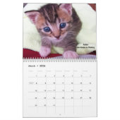 Laat je hart zien - MEOW 2016 Kitten Calendar Kalender (Mar 2026)