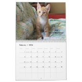 Laat je hart zien - MEOW 2016 Kitten Calendar Kalender (Feb 2026)