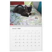 Laat je hart zien - MEOW 2016 Kitten Calendar Kalender (Jan 2026)