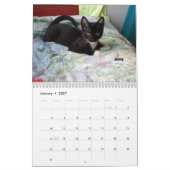 Laat je hart zien - MEOW 2016 Kitten Calendar Kalender (Jan 2027)