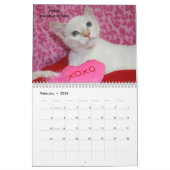 Laat je hart zien - MEOW 2017 Kitten Calendar Kalender (Feb 2026)