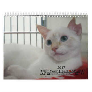Laat je hart zien - MEOW 2017 Kitten Calendar Kalender