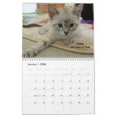 Laat je hart zien - MEOW 2017 Kitten Calendar Kalender (Jan 2026)