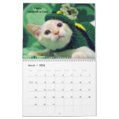Laat je hart zien - MEOW 2018 Kitten Calendar Kalender (Mar 2026)