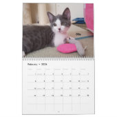 Laat je hart zien - MEOW 2018 Kitten Calendar Kalender (Feb 2026)
