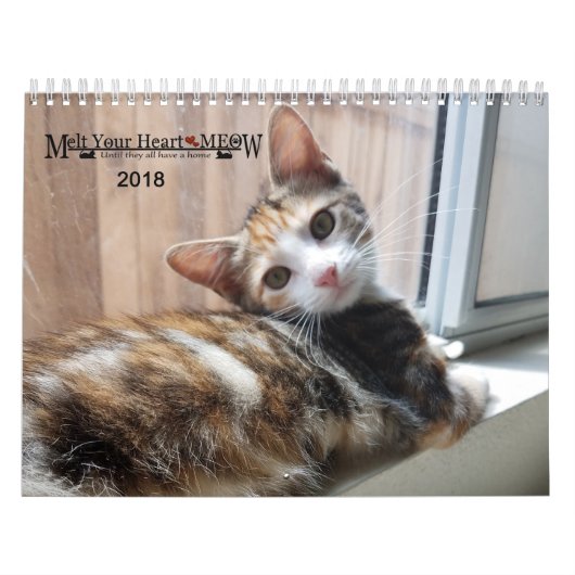 Laat je hart zien - MEOW 2018 Kitten Calendar Kalender (Hoes)