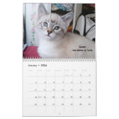 Laat je hart zien - MEOW 2018 Kitten Calendar Kalender (Jan 2026)