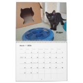 Laat je hart zien - MEOW 2020 Kitten Calendar Kalender (Mar 2026)