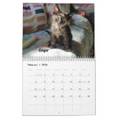 Laat je hart zien - MEOW 2020 Kitten Calendar Kalender (Feb 2026)