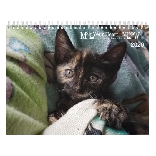 Laat je hart zien - MEOW 2020 Kitten Calendar Kalender (Hoes)