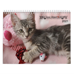 Laat je hart zien - MEOW 2021 Kitten Calendar Kalender