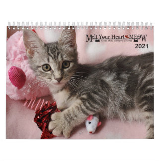 Laat je hart zien - MEOW 2021 Kitten Calendar Kalender