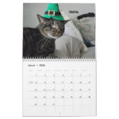 Laat je hart zien - MEOW 2022 Kitten Calendar Kalender (Mar 2026)
