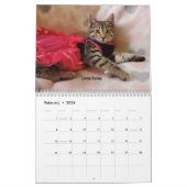 Laat je hart zien - MEOW 2022 Kitten Calendar Kalender (Feb 2026)