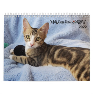 Laat je hart zien - MEOW 2022 Kitten Calendar Kalender