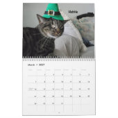 Laat je hart zien - MEOW 2022 Kitten Calendar Kalender (Mar 2027)