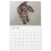 Laat je hart zien met Hubble 2019 Calendar Kalender (Mar 2026)