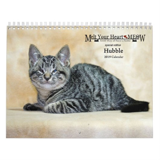 Laat je hart zien met Hubble 2019 Calendar Kalender (Hoes)