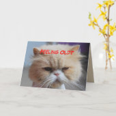Laat maar Persian Kat Humor Kaart (Gele Bloem)
