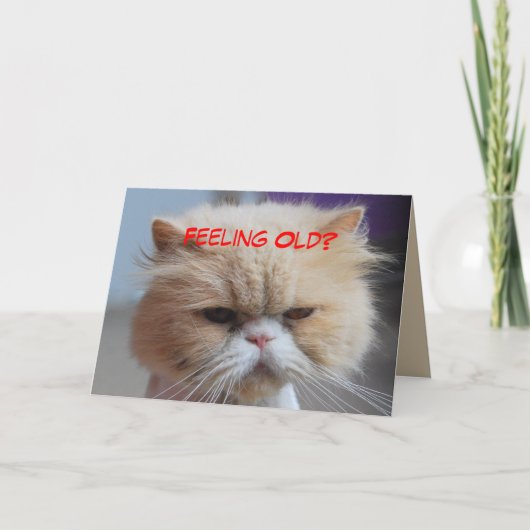 Laat maar Persian Kat Humor Kaart (Voorkant)
