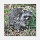 Laat me alleen magneet (Voorkant)