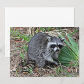 Laat me alleen notitiekaartje (Voorkant / Achterkant)