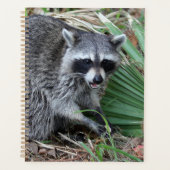 Laat me alleen planner (Voorkant)