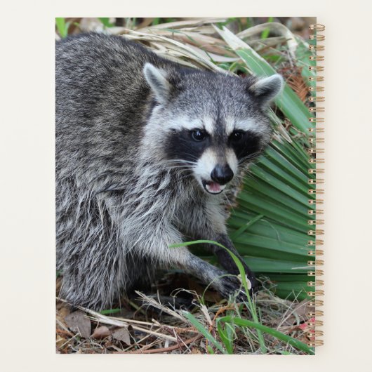 Laat me alleen planner (Achterkant)