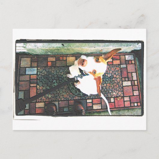 Laat me binnen briefkaart (Voorkant)