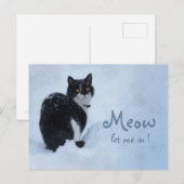 Laat me binnen. CC0826 Kattengedachten Briefkaart (Voorkant / Achterkant)