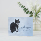 Laat me binnen. CC0826 Kattengedachten Briefkaart (Staand voorkant)