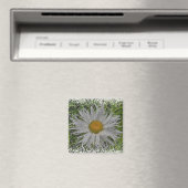 Laat me een madeliefje #1 magneet (Insitu (Vaatwasser))