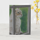 "Laat me in" het Wenskaart van de kattenkunst Kaart (Gele Bloem)