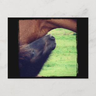 Laat me je een geheim vertellen briefkaart