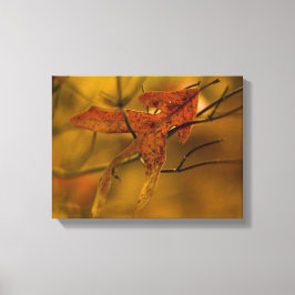 Laat me je herfstbladeren in gouden tinten vangen canvas afdruk