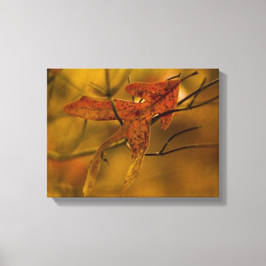 Laat me je herfstbladeren in gouden tinten vangen canvas afdruk (Voorkant)