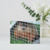 Laat me kalender ~ briefkaart (Staand voorkant)