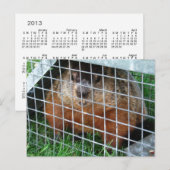 Laat me kalender ~ briefkaart (Voorkant / Achterkant)