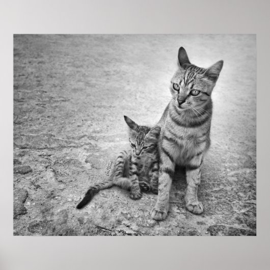 Laat me nooit alleen poster (Voorkant)